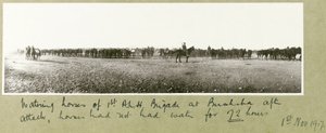 Paarden van de 1e A.L.H. Brigade water geven in Beersheba na aanval, paarden hadden 72 uur geen water gehad, 1 november 1917
